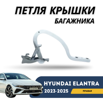 Петля крышки багажника правая на Hyundai Elantra 2020,2021,2022,2023,2024,2025  (Оригинал) Алматы Астана — фото
