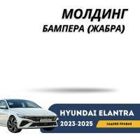 Молдинг бампера (жабра) задний правый  Elantra 23-н.в. (QPart)
